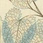 window blinds texture