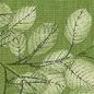 window blinds texture