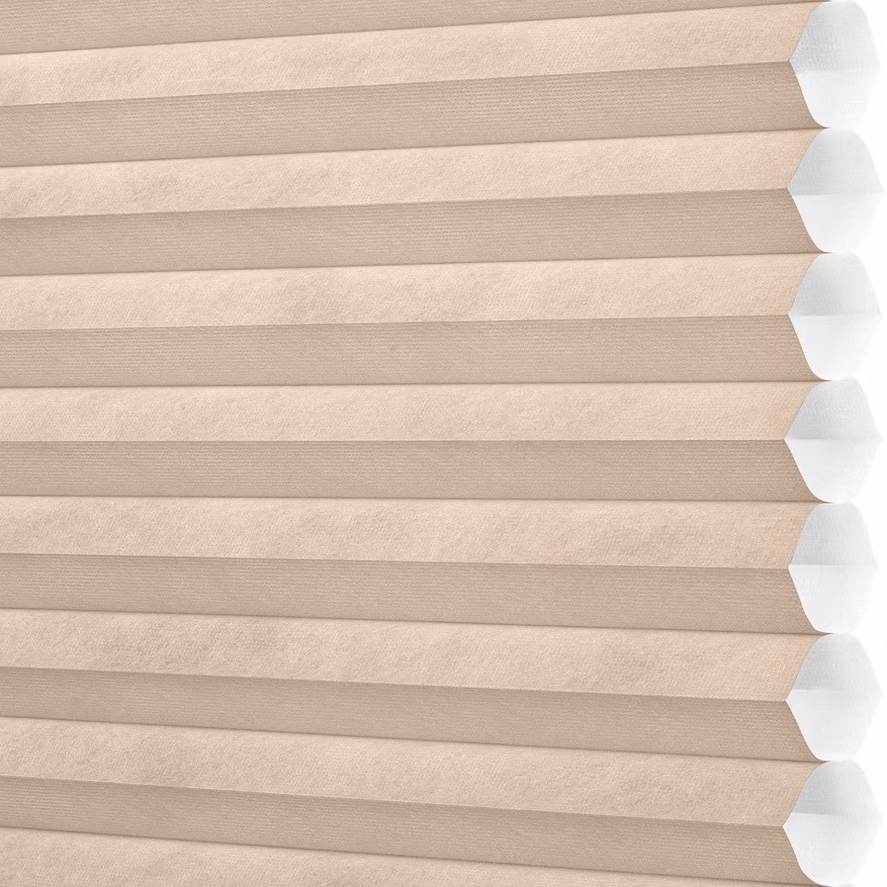 window blinds services
