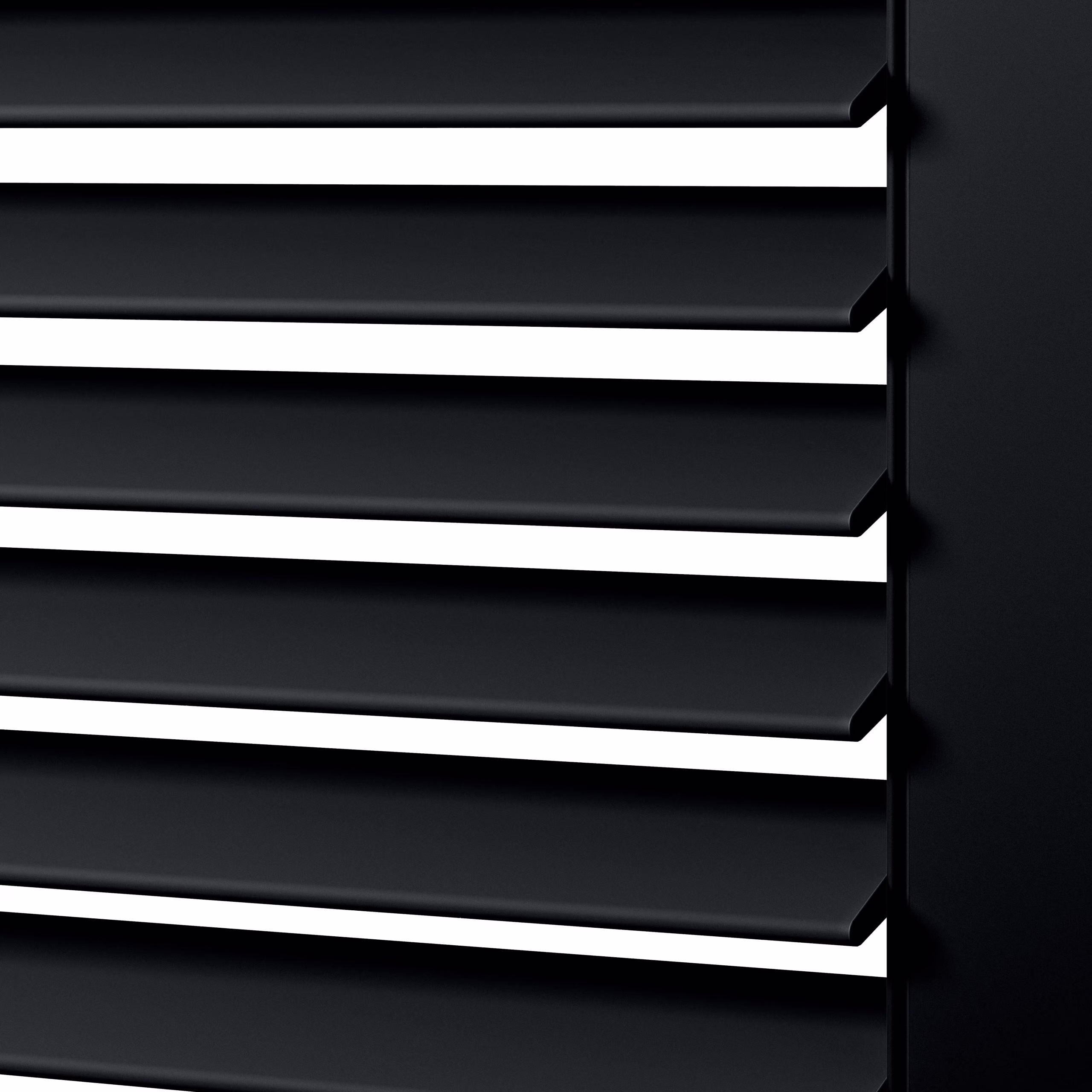 window blinds