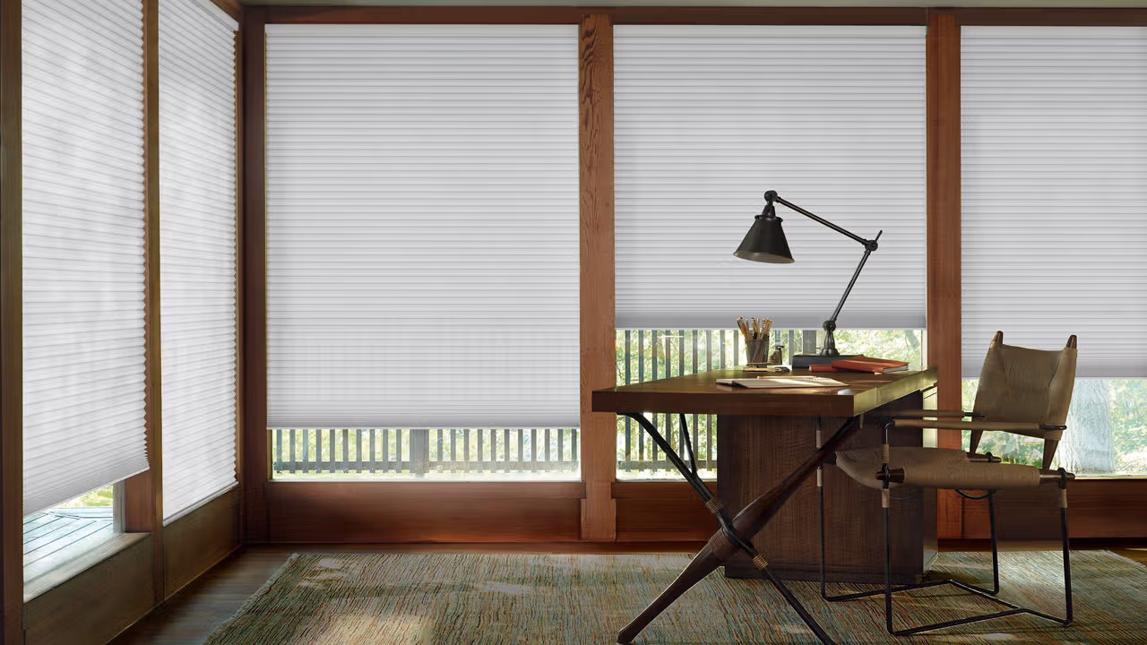 home window blinds