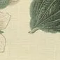 window blinds texture
