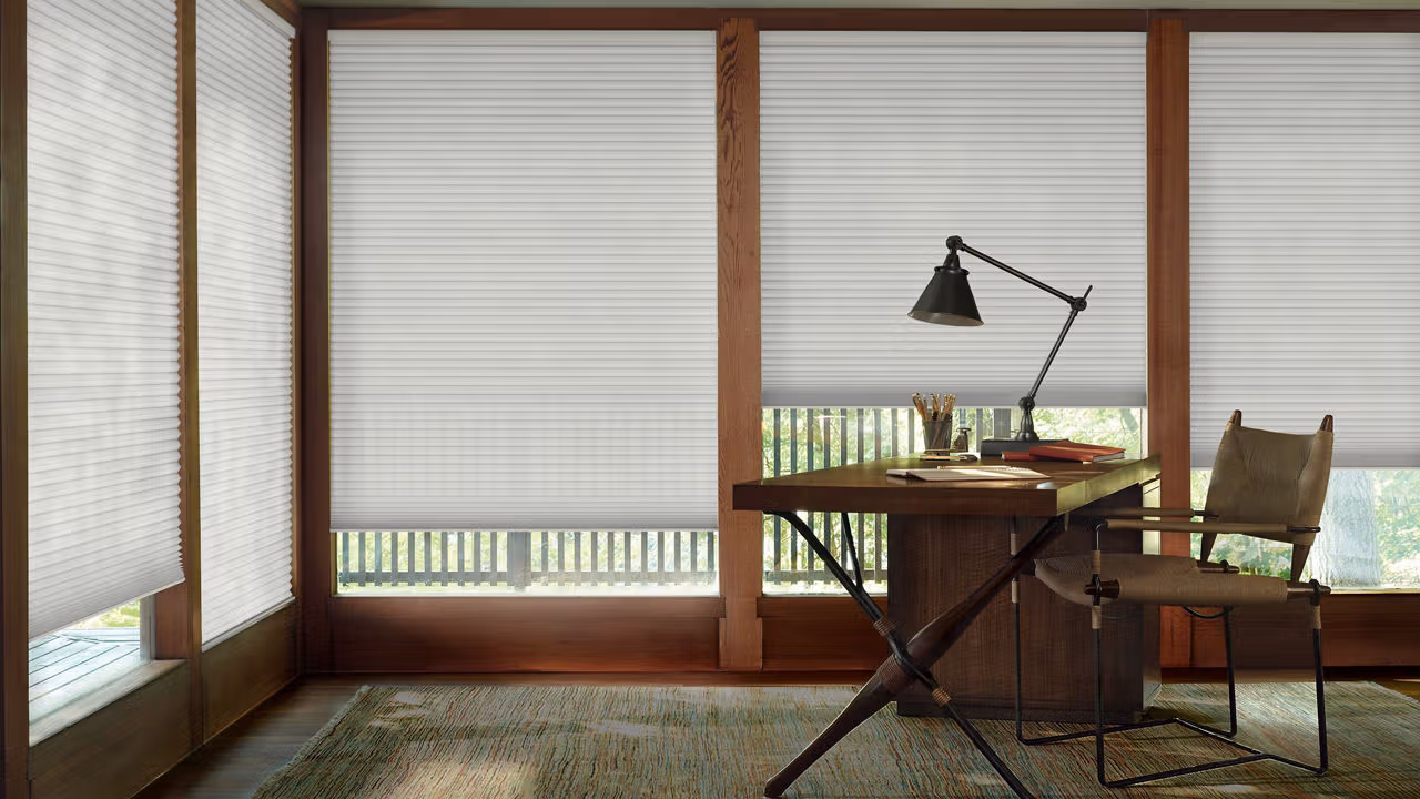 home window blinds
