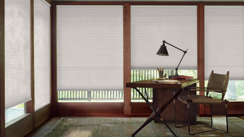 home window blinds