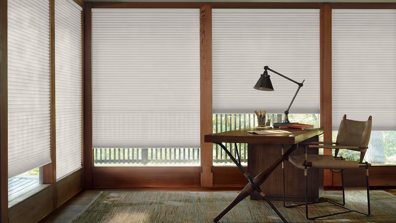 home window blinds