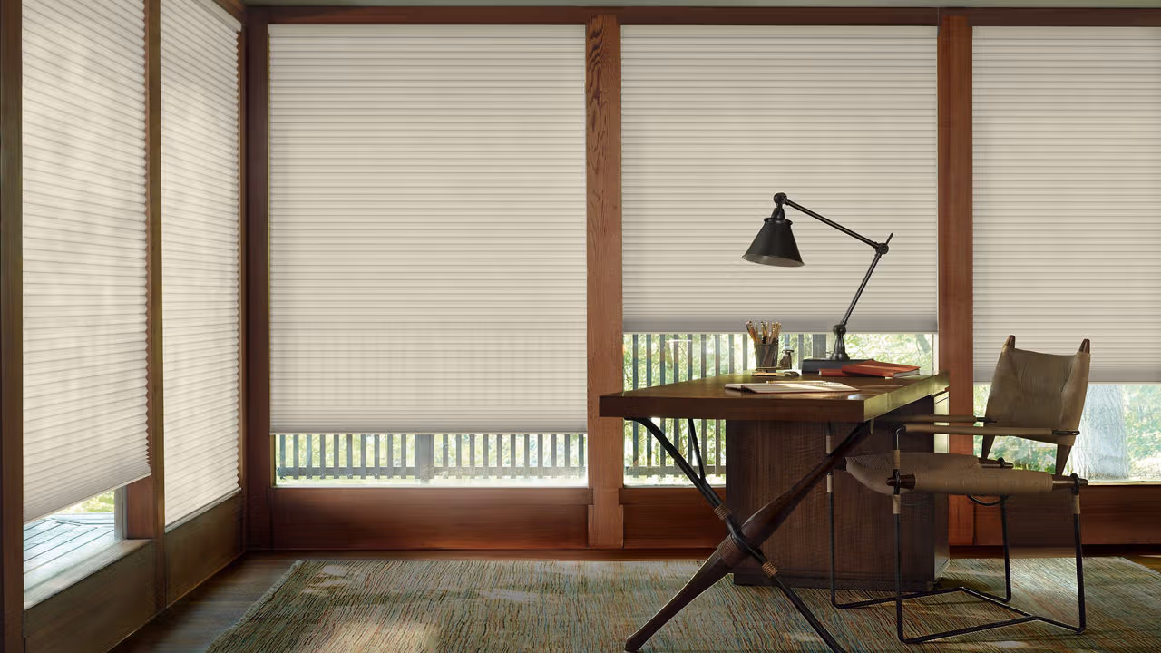 home window blinds