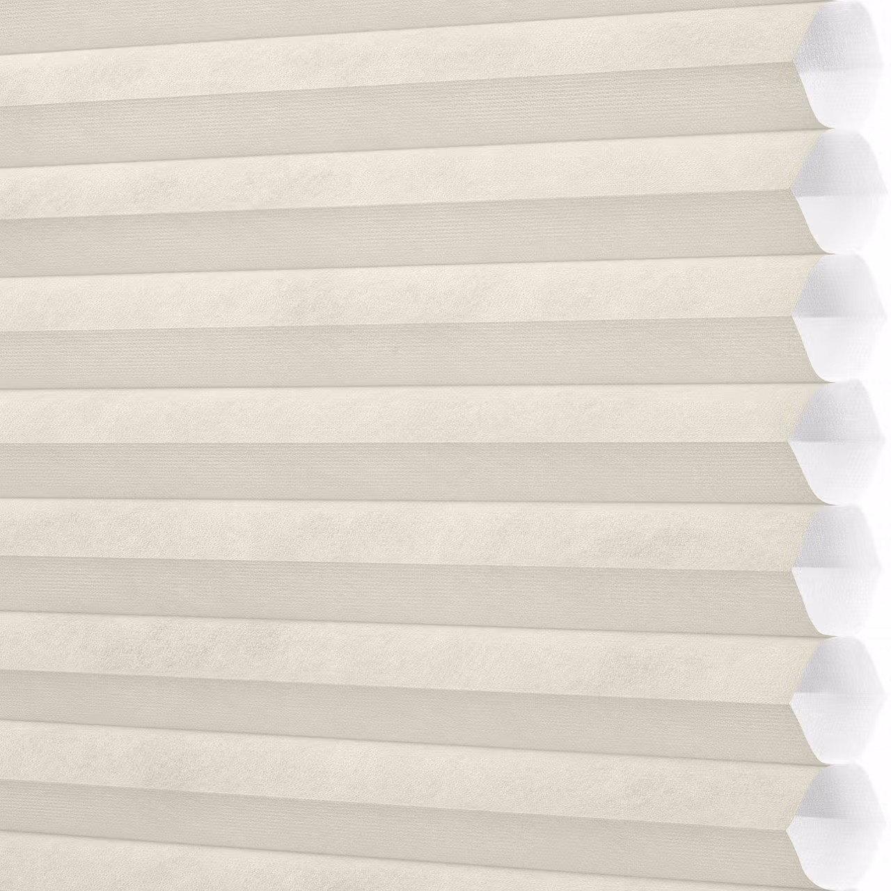 window blinds shades