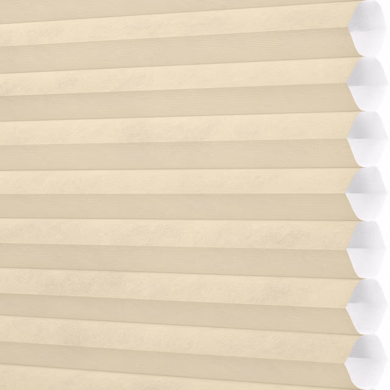 window blinds shades