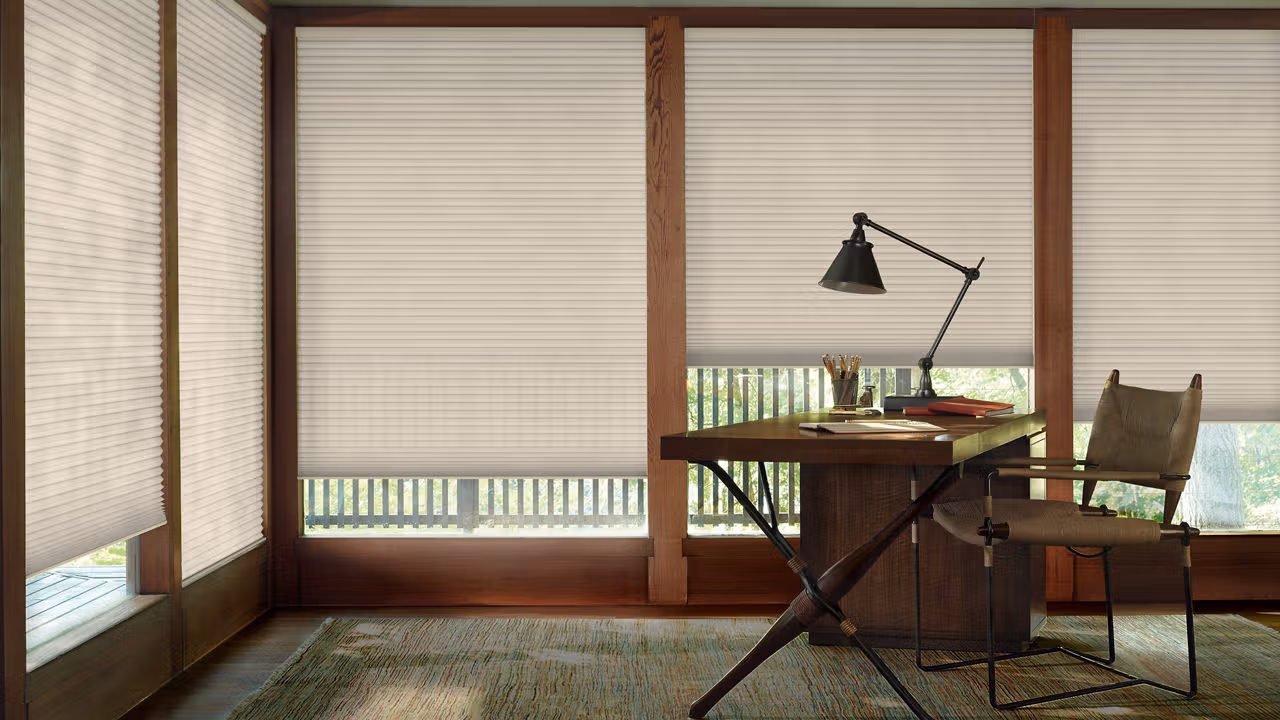 home window blinds