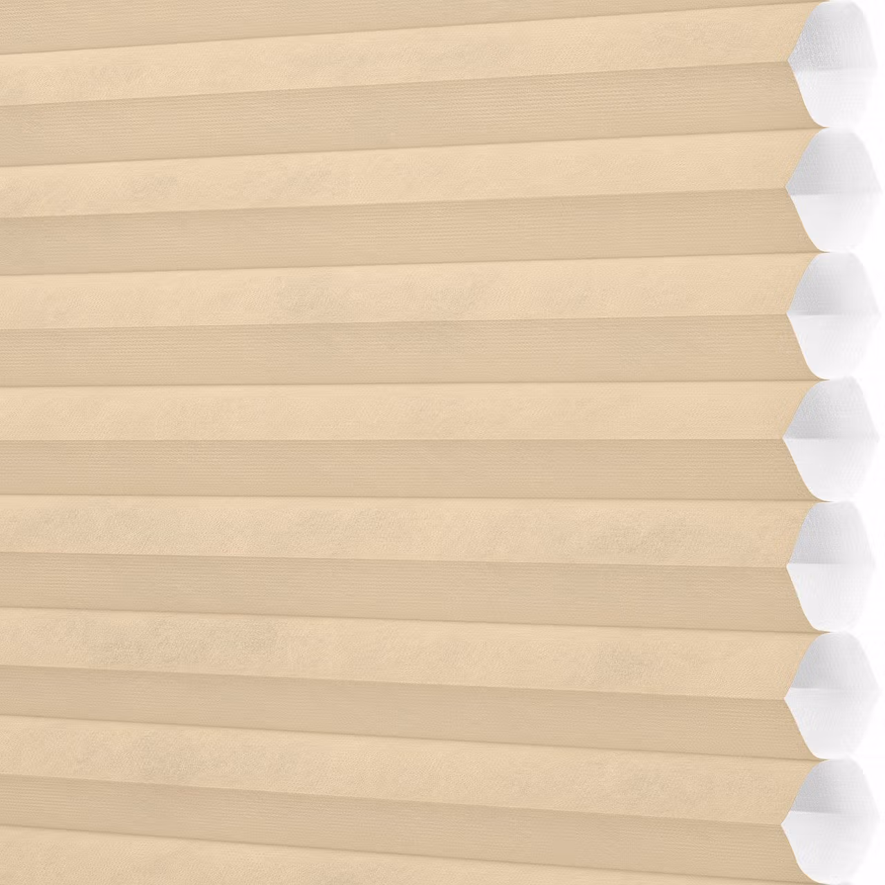 window blinds shades