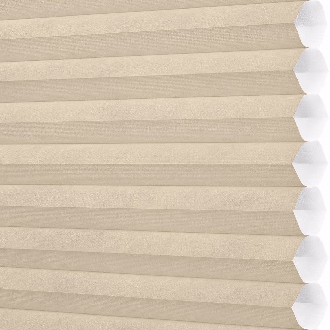 window blinds services