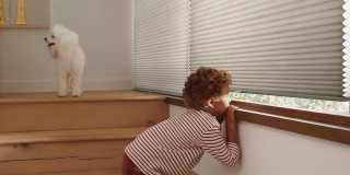 Windows treatment service