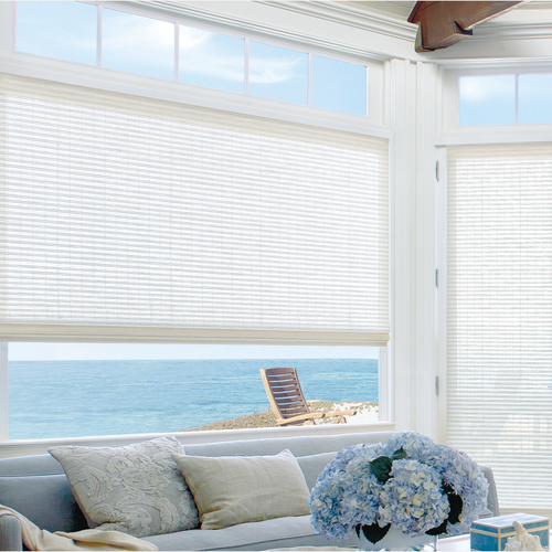Windows treatment service
