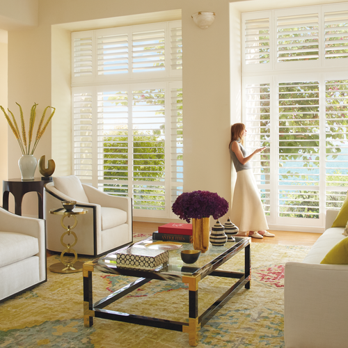 Windows treatment service
